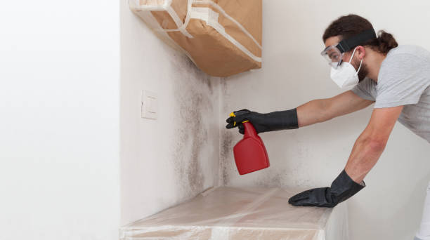 Professional Bathroom Mold Removal technician working in Freeland, MD